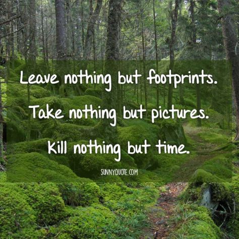 leave-nothing-but-footprints